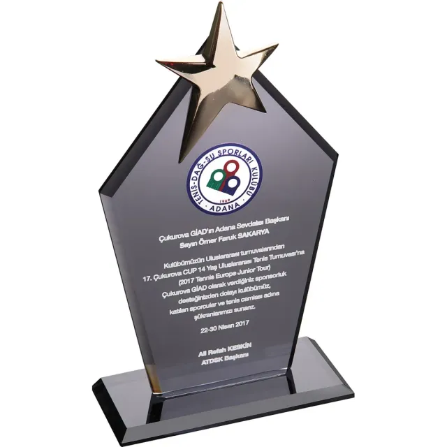 Kristal Plaket EKT-170
