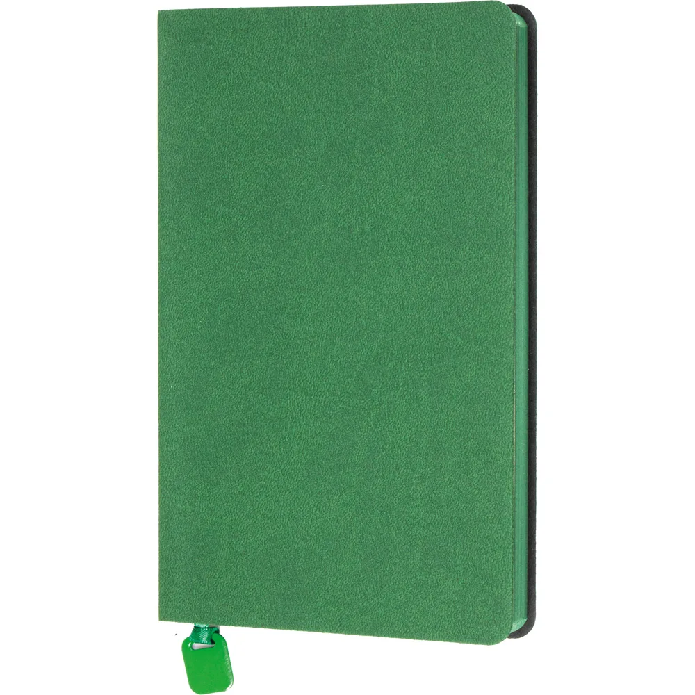 Tarihsiz Defter Tavşanlı