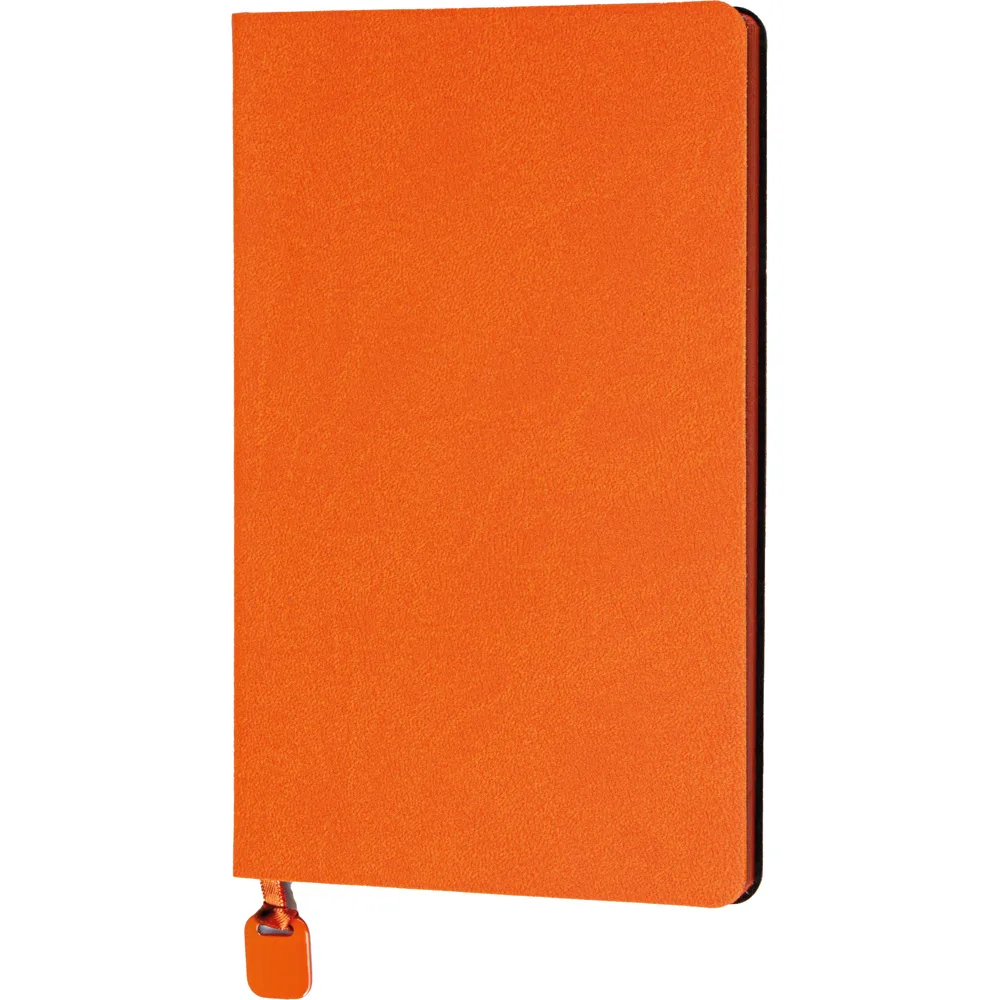 Tarihsiz Defter Tavşanlı