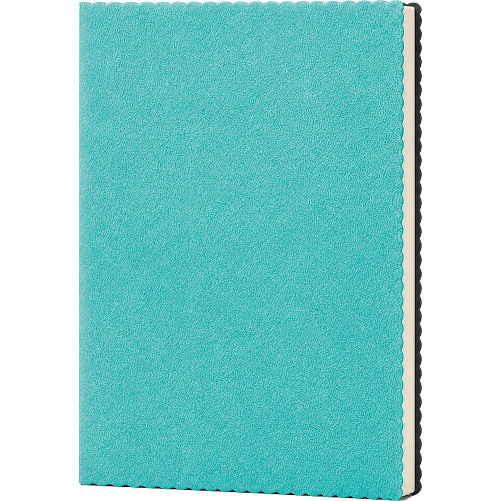 Tarihsiz Defter Erciyes