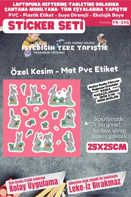 Fikircan Etiket Seti 25x25cm Pvc Sticker -Defter-Laptop-Tablet-Telefon-Dolap-Cam vb Her yere Yapışır