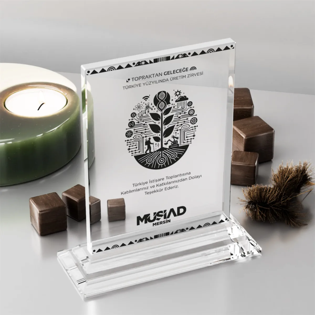 PB366 Kristal Plaket — görsel 2
