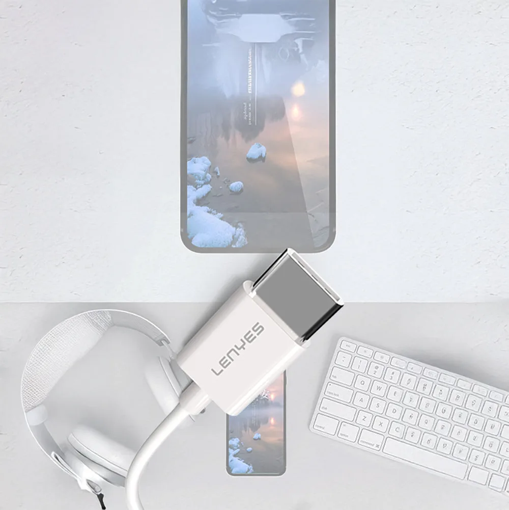 Lenyes AX91 Type-C to 3.5mm | Hi-Fi Aux Ses Adaptörü