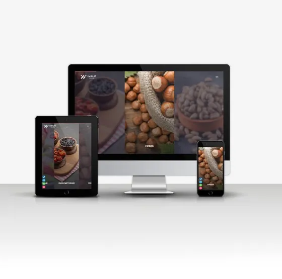 İmalat & Dış Ticaret V2 Hazır Web Sitesi